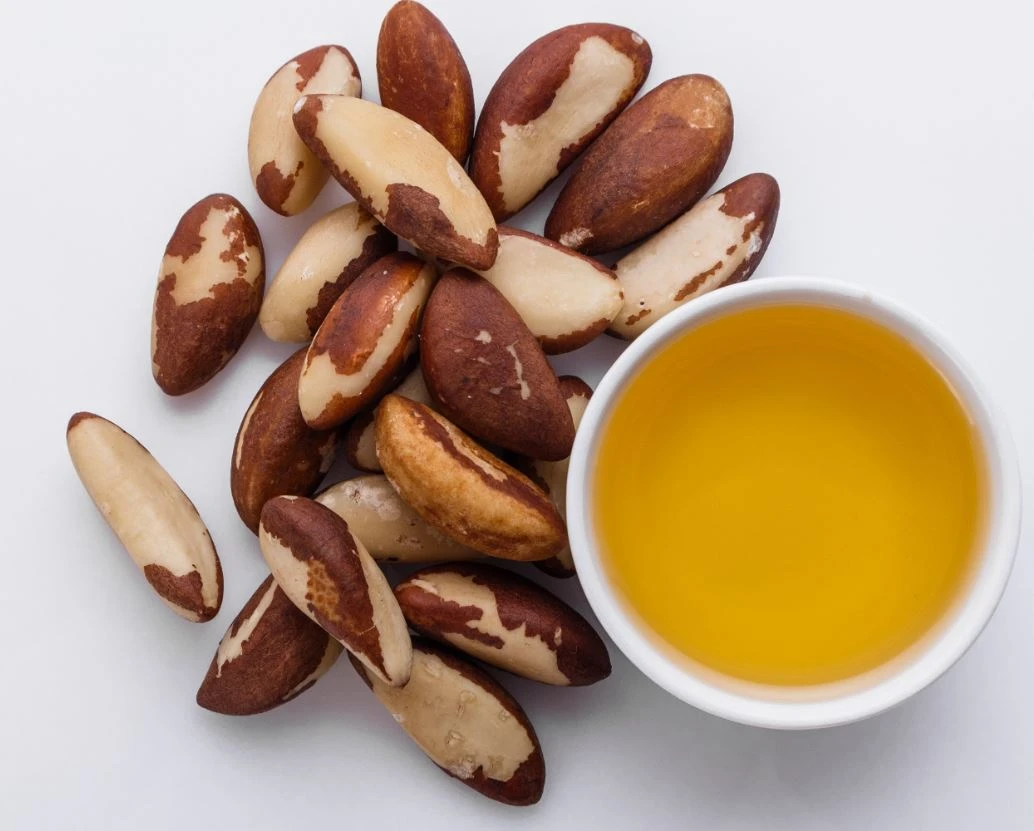 BRAZIL NUT – Oil Organic