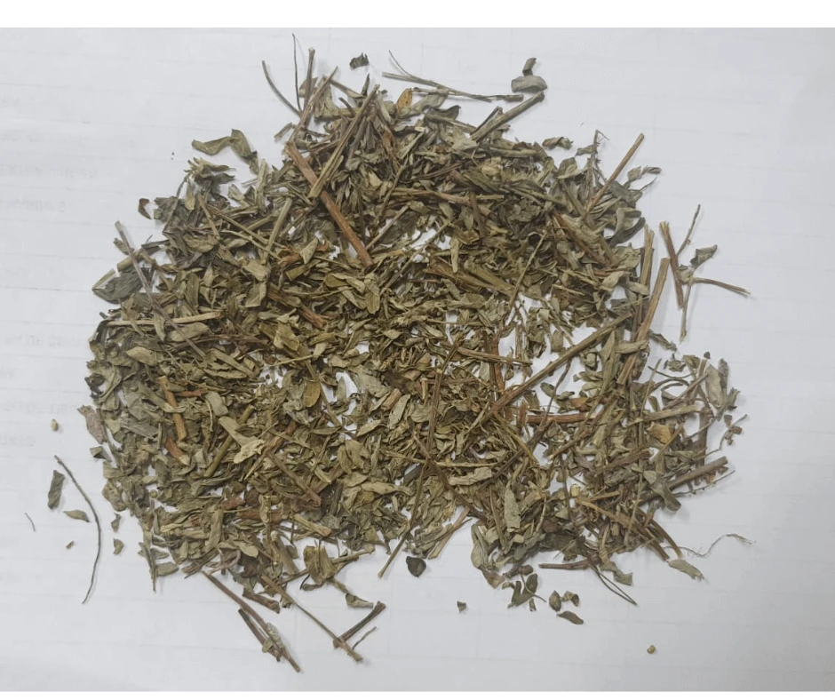 CHANCAPIEDRA – Powder Sterilized
