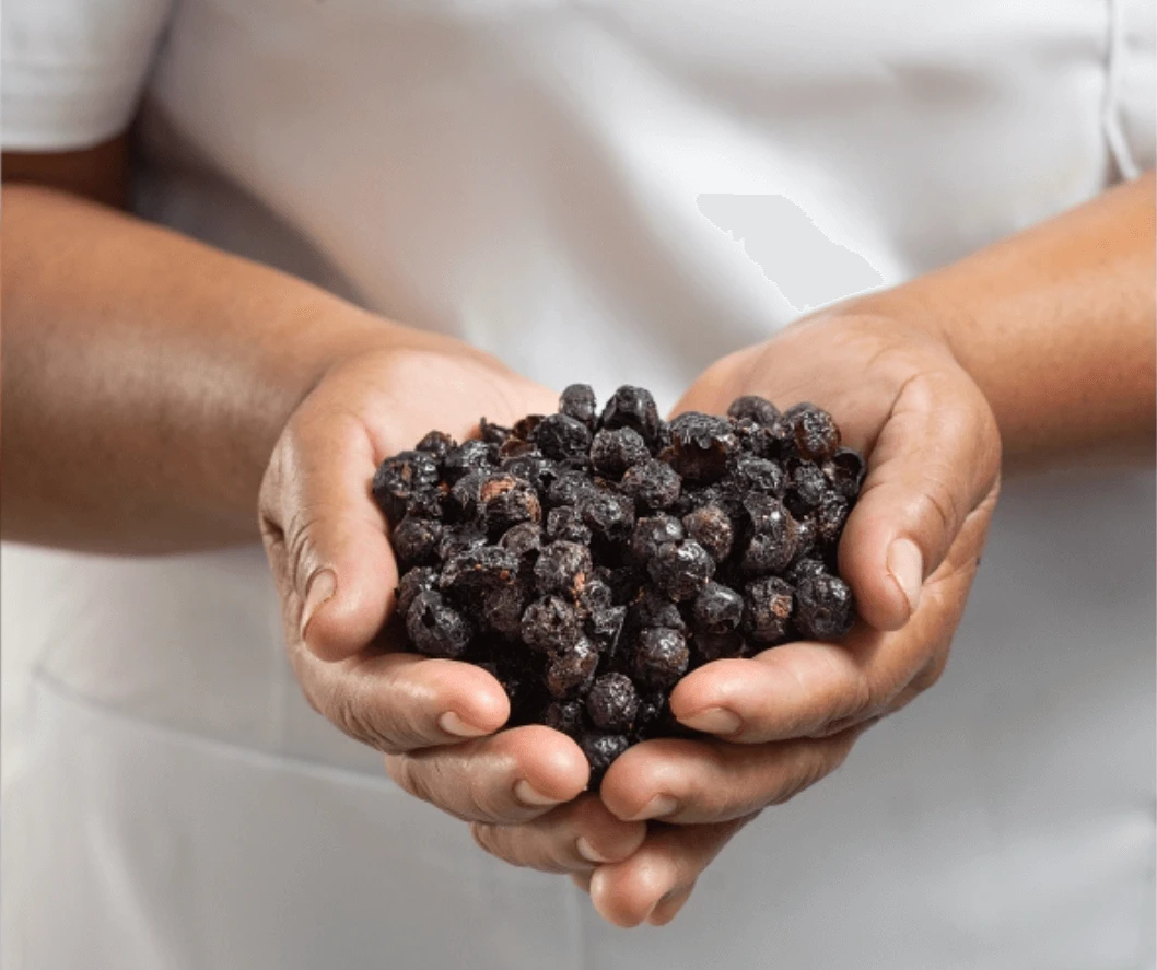AÇAÍ – Organic Freeze-Dried Powder